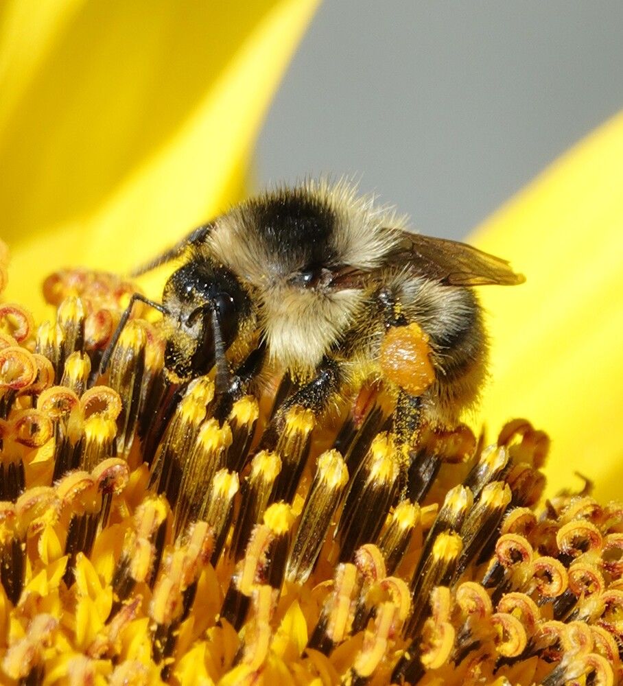 Photograph by Zakharov Matvey