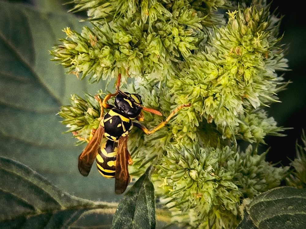 Photograph by Елена Сиушова