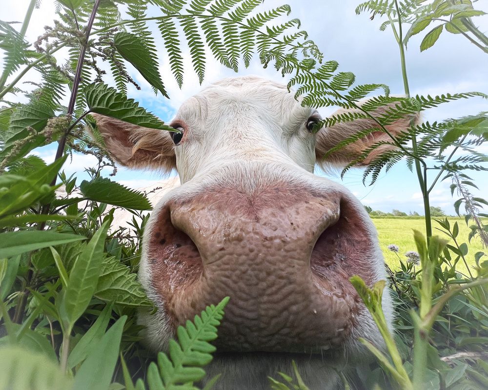 Photograph by LYUDMYLA POKRYSHEN