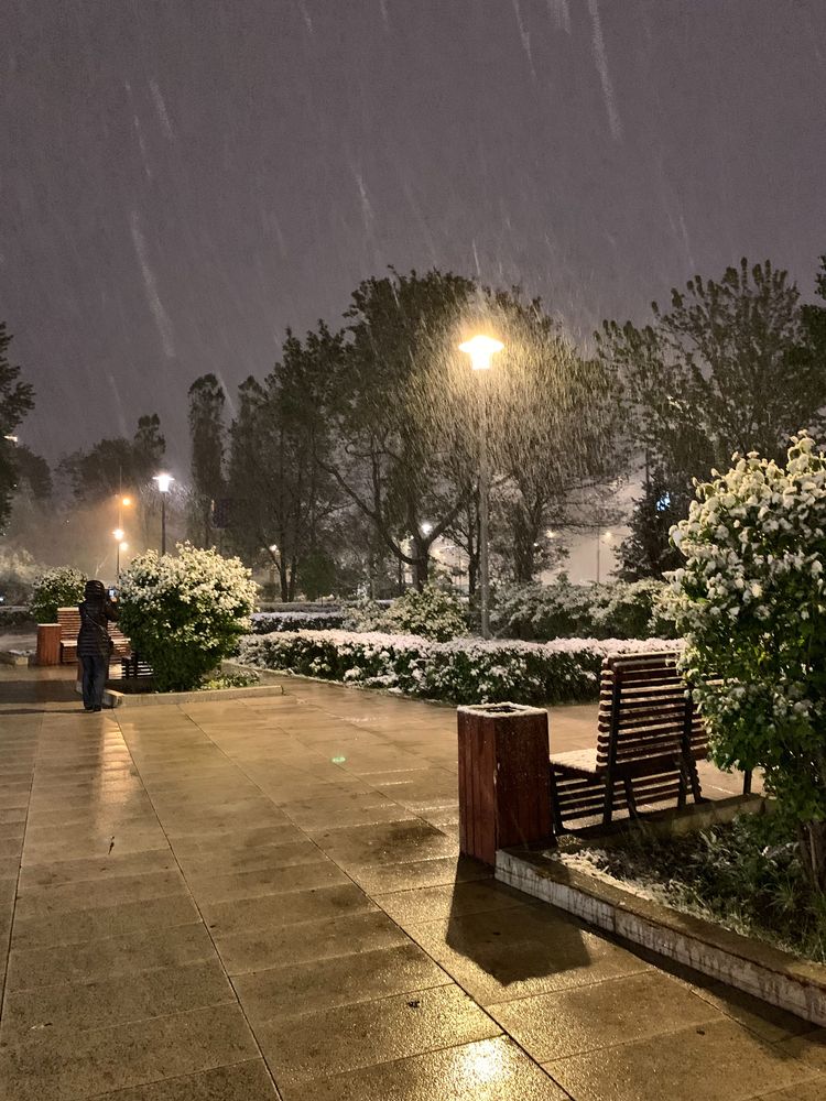 Photograph by Elena Makukha