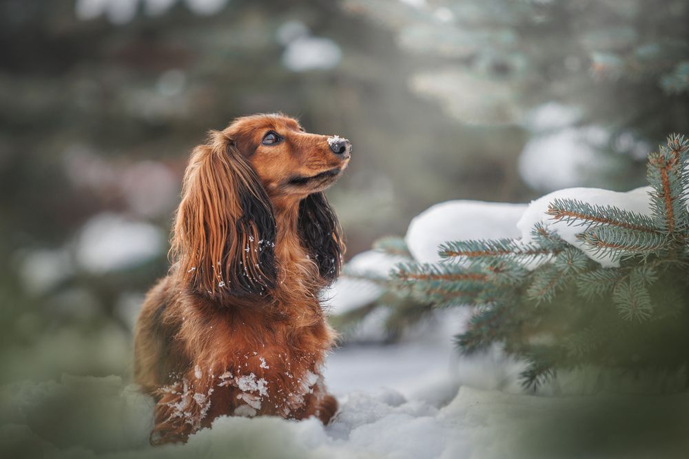 Photograph by Яна Нарбутович