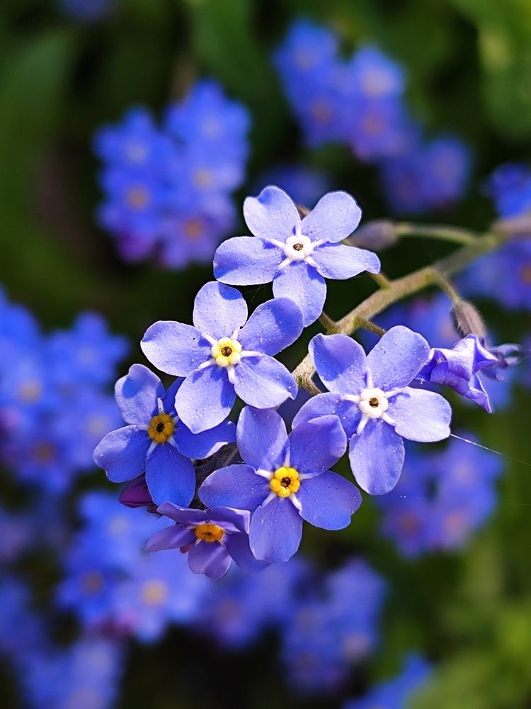 Photograph by Екатерина Борисовна Кузьмина