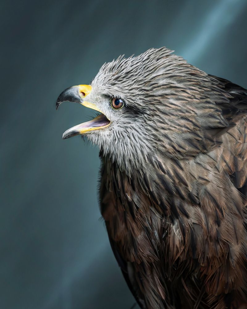 Photograph by Tamara Lebón Sánchez