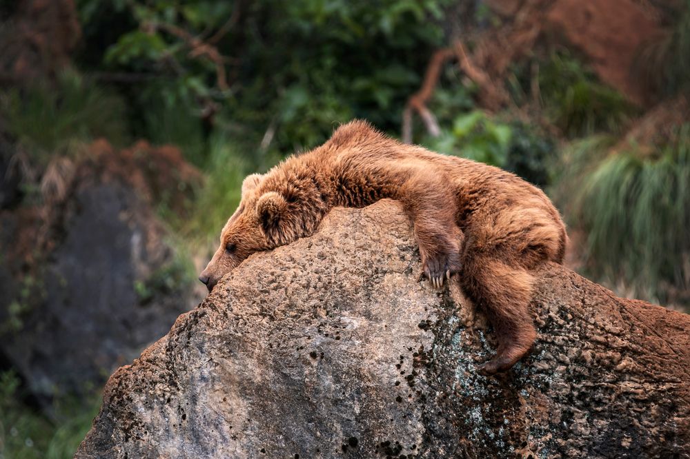 Photograph by Tamara Lebón Sánchez