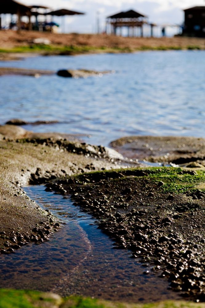 Photograph by Sharone