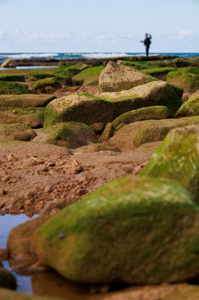 Photograph by Sharone