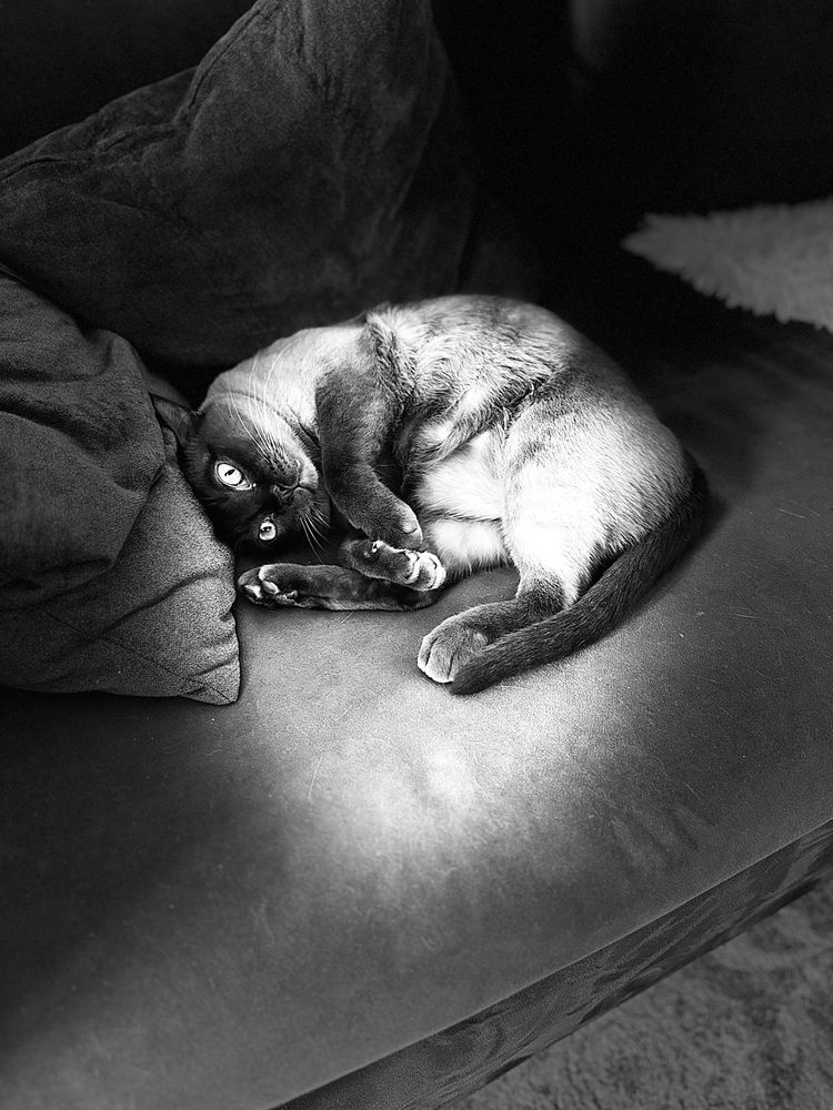 Photograph by Юлия Давшан