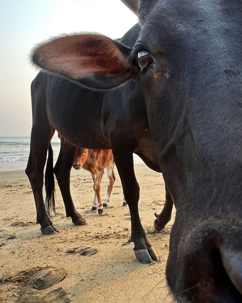 Photograph by LYUDMYLA POKRYSHEN