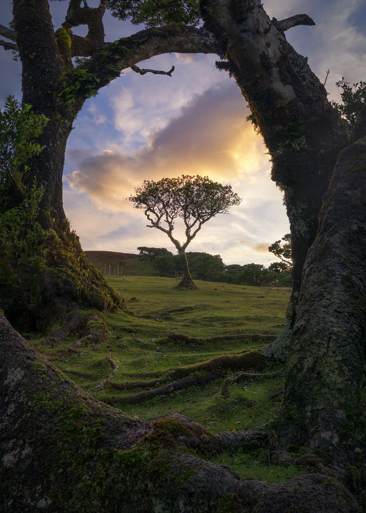 Фотография автора Javier Enjuto Garcia