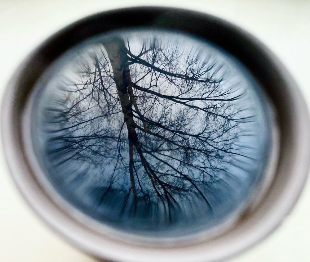 Photograph by Александр Горбунов