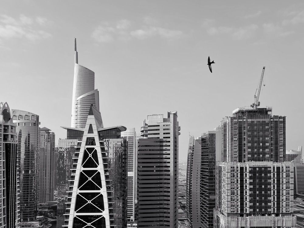 Photograph by Марина Кобелева