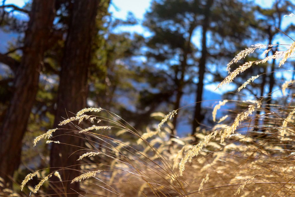 Фотография автора Александр Адамович