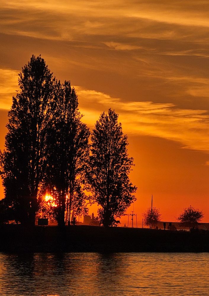 Photograph by Irina Sushkova