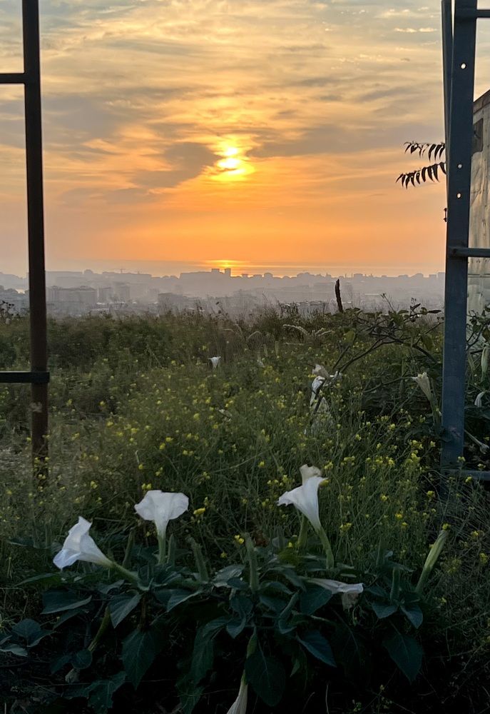 Photograph by Фарида Абакарова