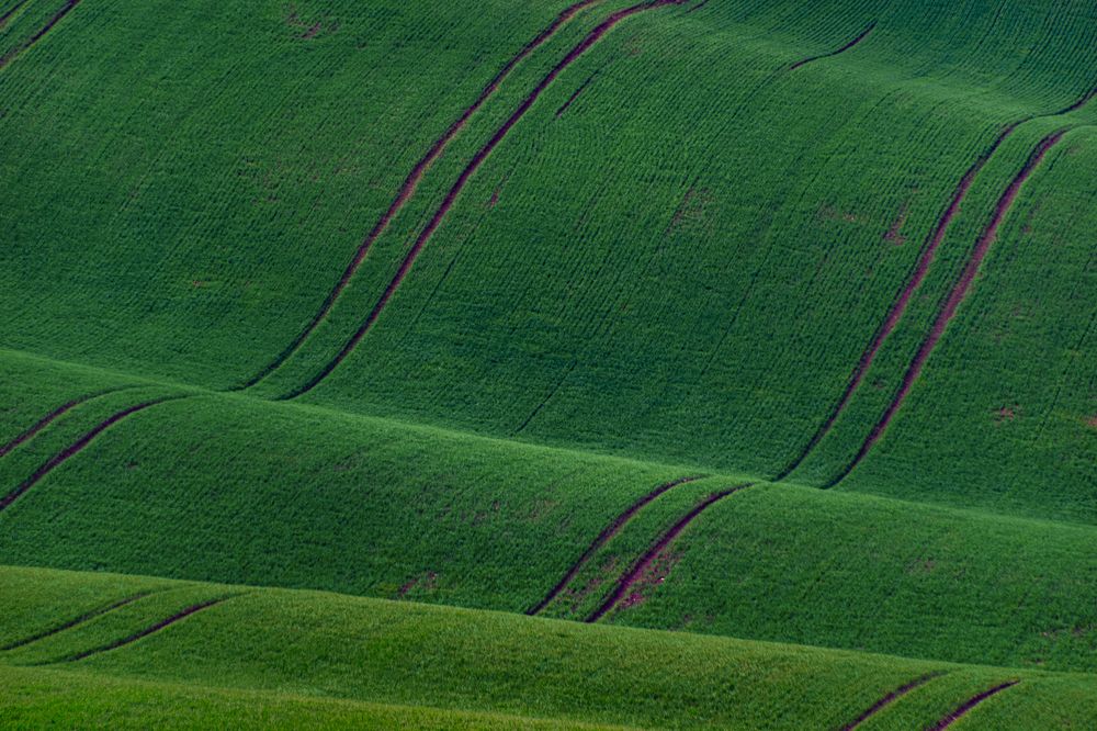 Photograph by Olga Arune