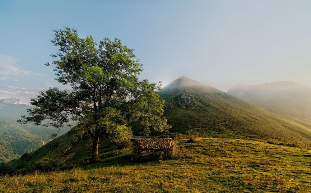 Photograph by Александр Белогаев