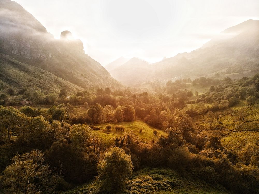 Photograph by Александр Белогаев