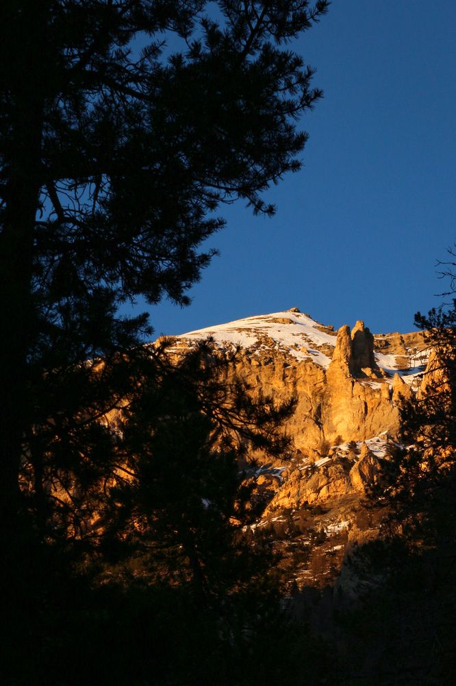 Фотография автора Александр Адамович