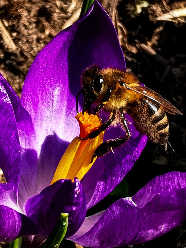 Фотография автора Ольга Панасюк