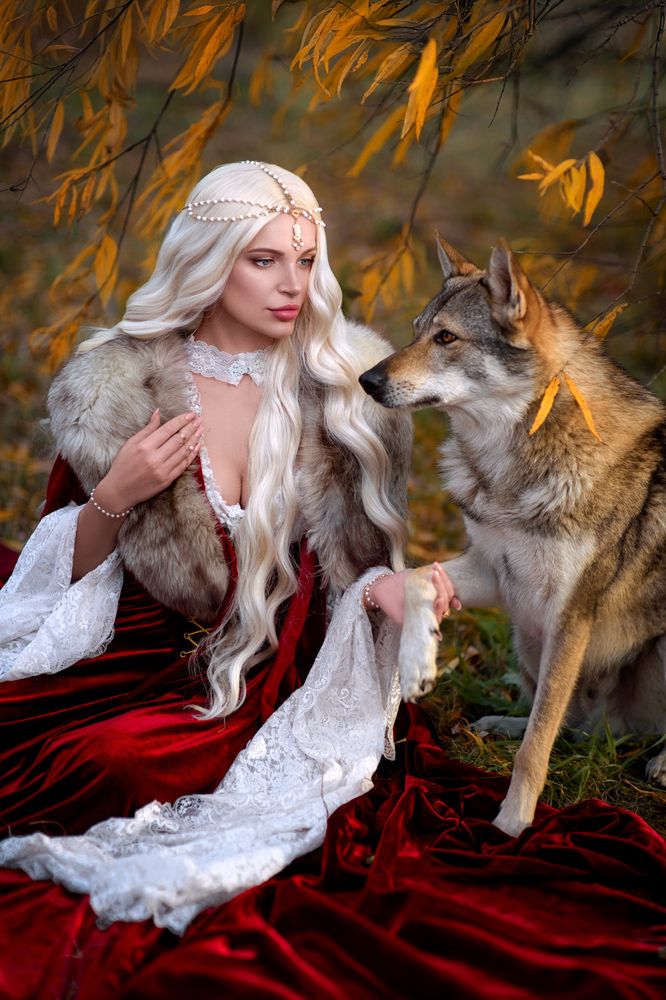 Фотография автора Софья Ознобихина