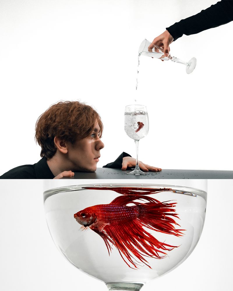 Photograph by Сергей Антонов