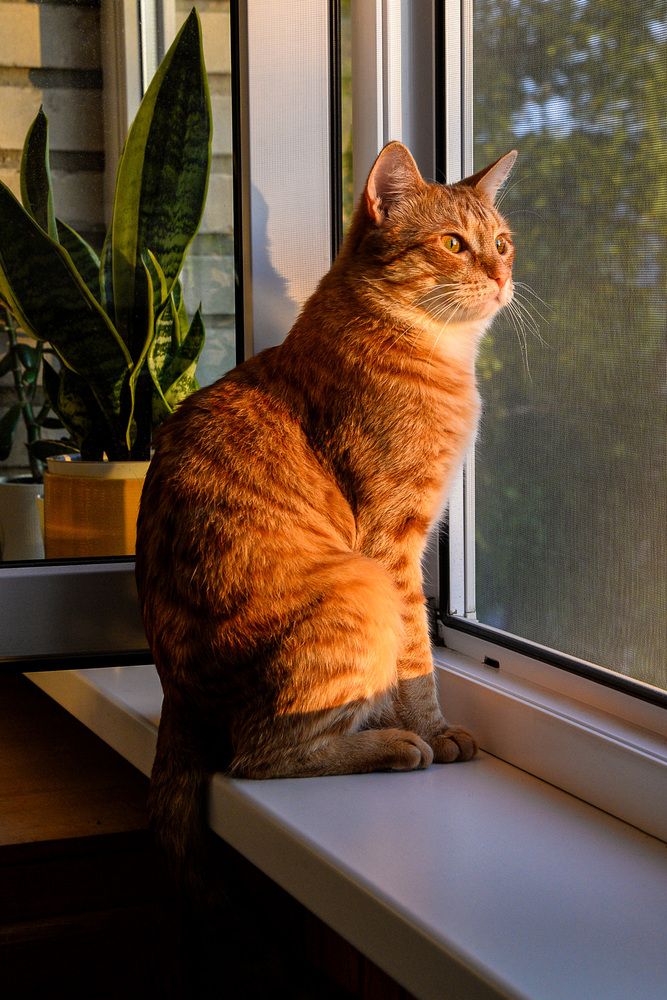 Photograph by Эдуард Шадров