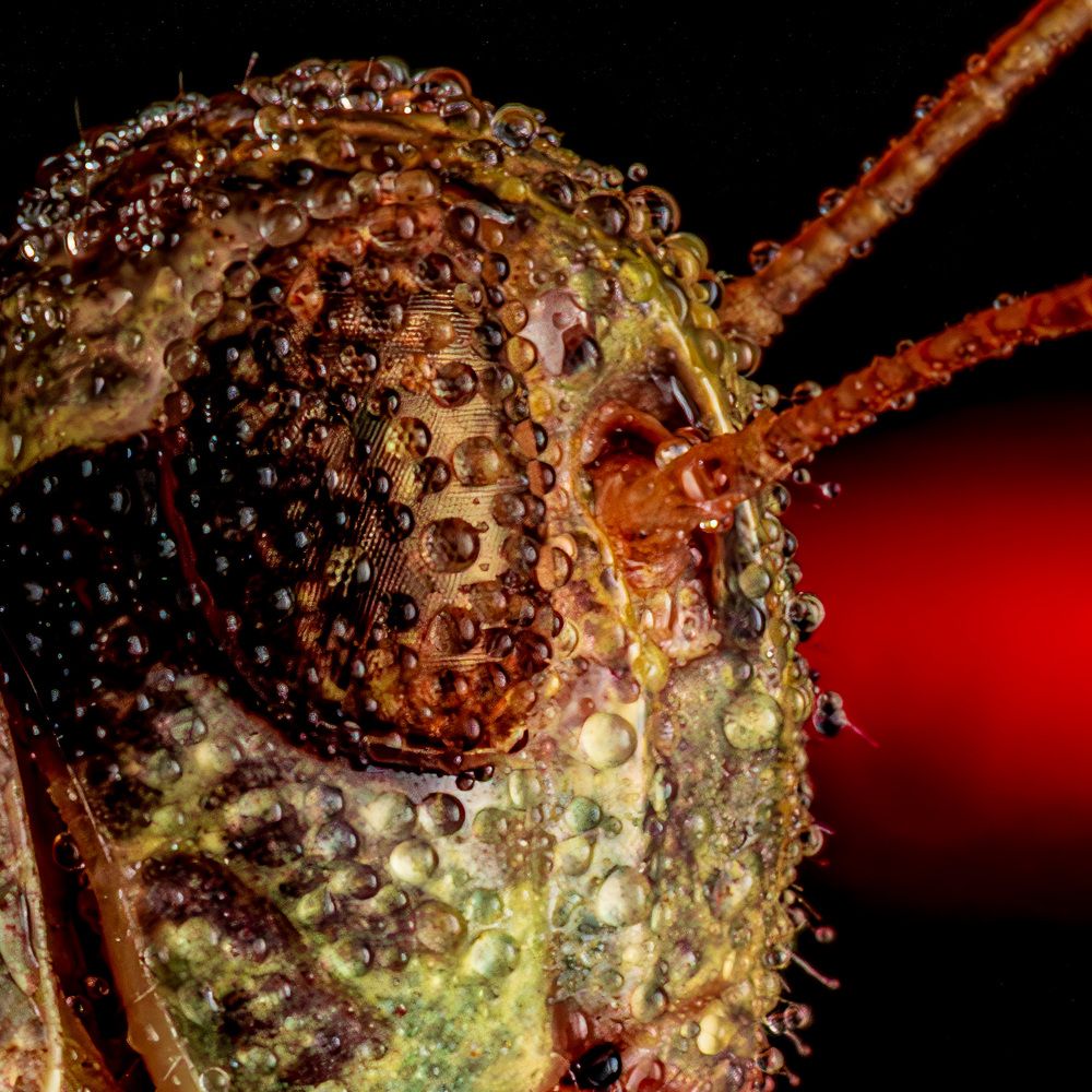 Photograph by Derek Moorse