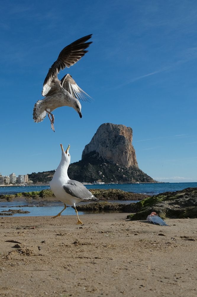 Photograph by Александр Белогаев