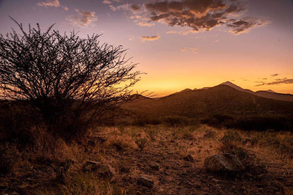 Photograph by Игорь Чебунин