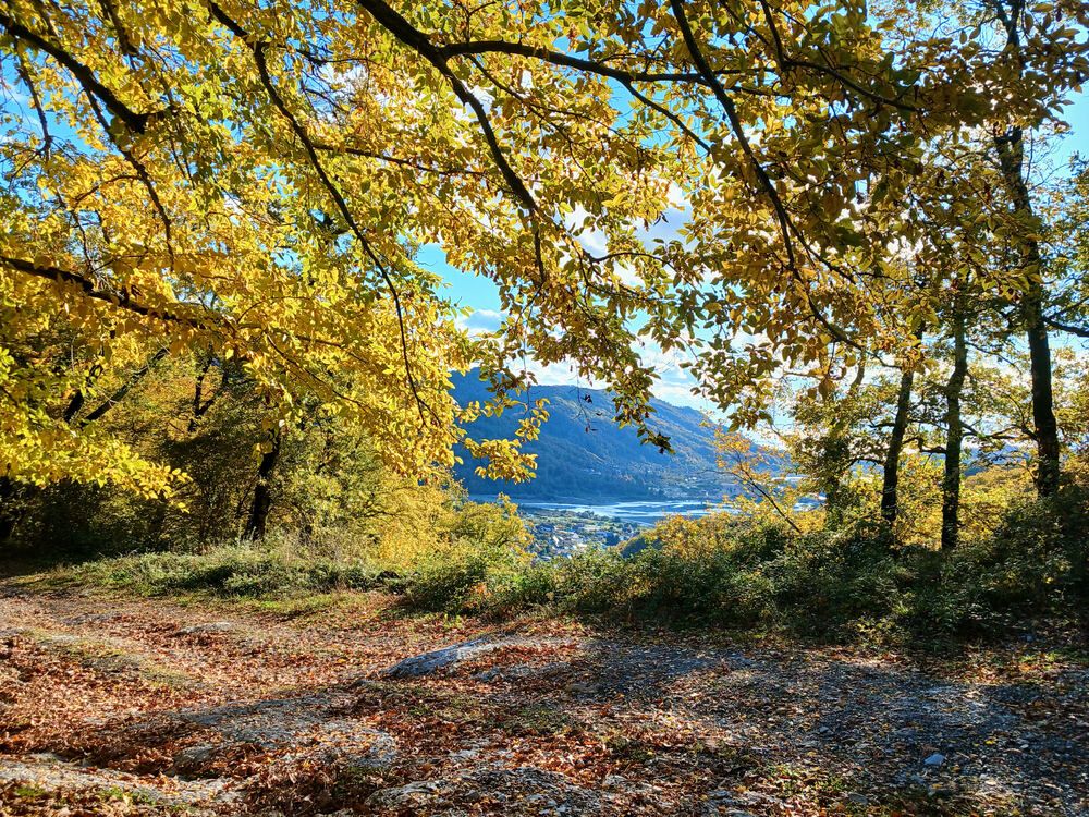 Photograph by Александр Авдушев