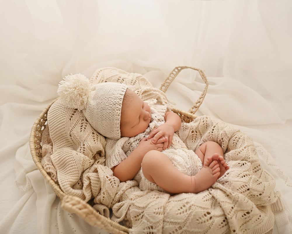 Photograph by Alexandra Whelan