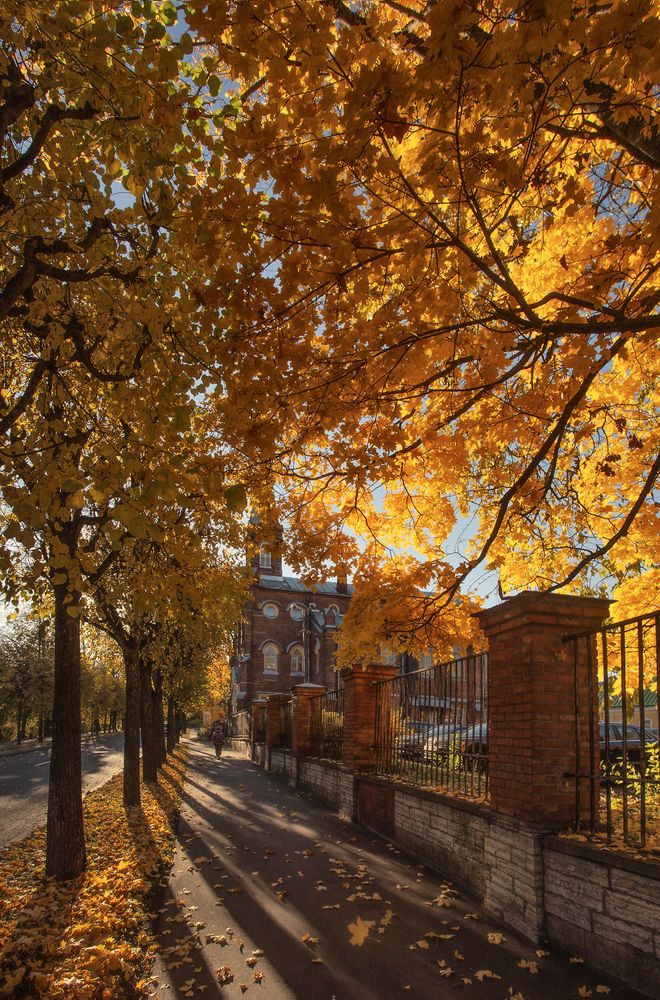 Photograph by Щепотина Татьяна