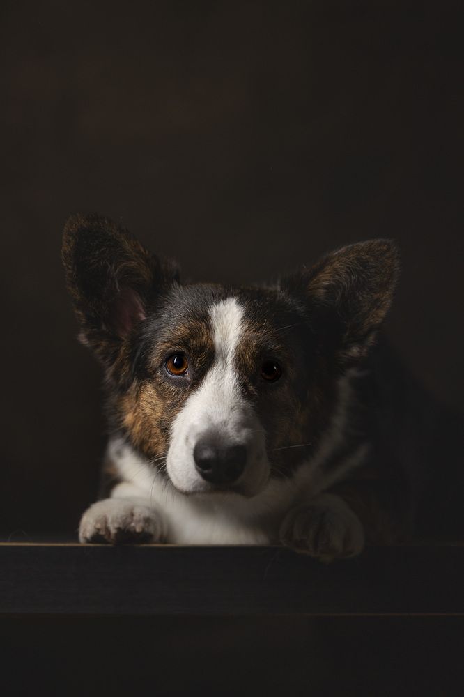 Photograph by Мария Комратова