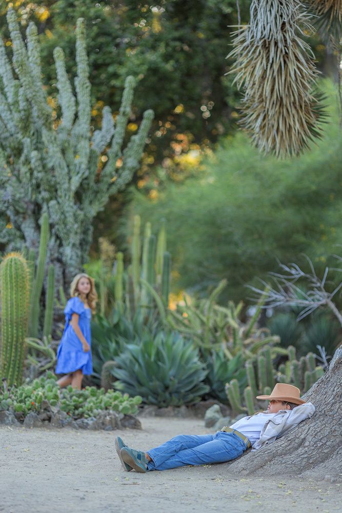 Цветок Кактуса