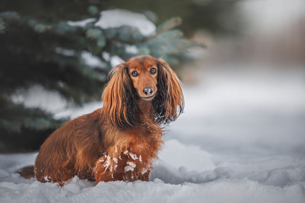 Photograph by Яна Нарбутович