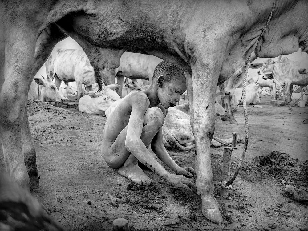 Фотография автора Svetlin Yosifov