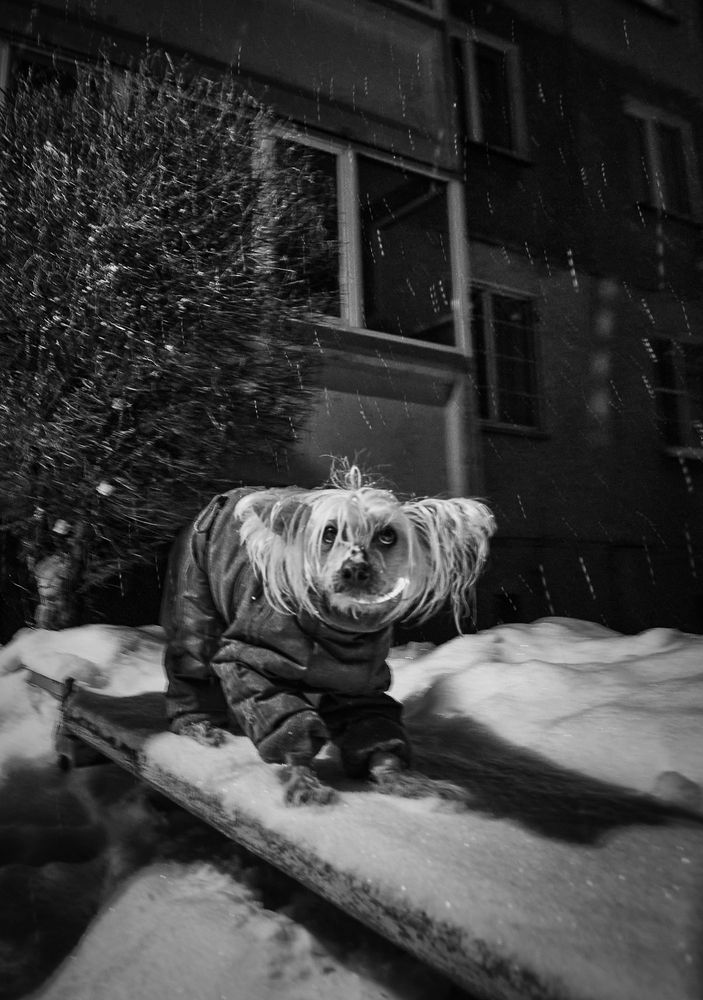 Фотография автора Наталья Новикова