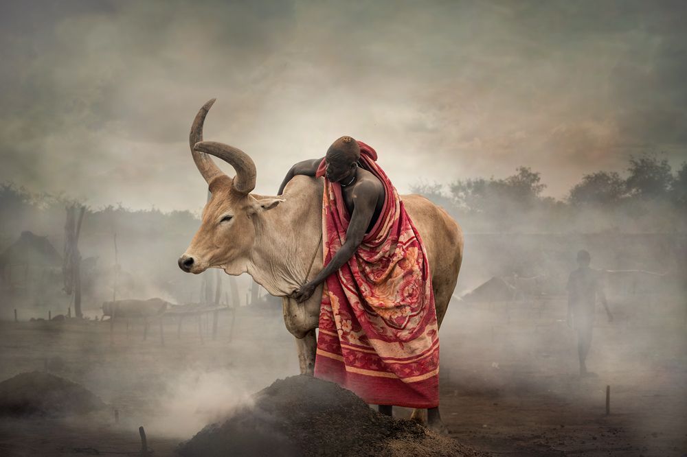 Фотография автора Svetlin Yosifov