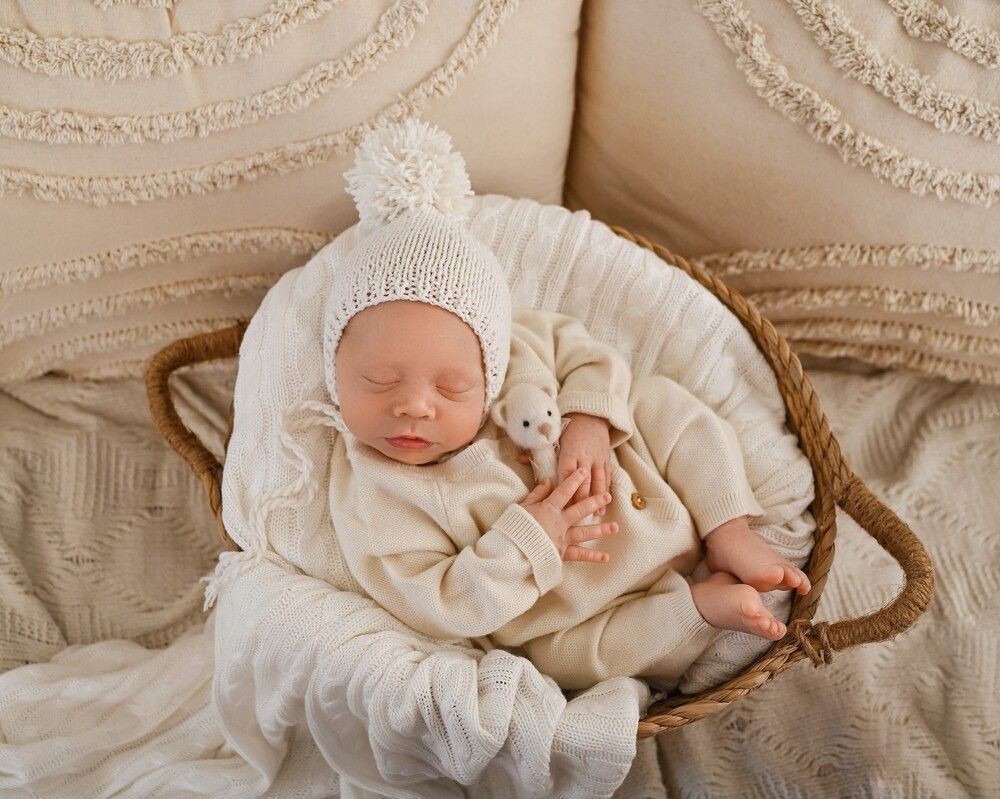 Photograph by Alexandra Whelan