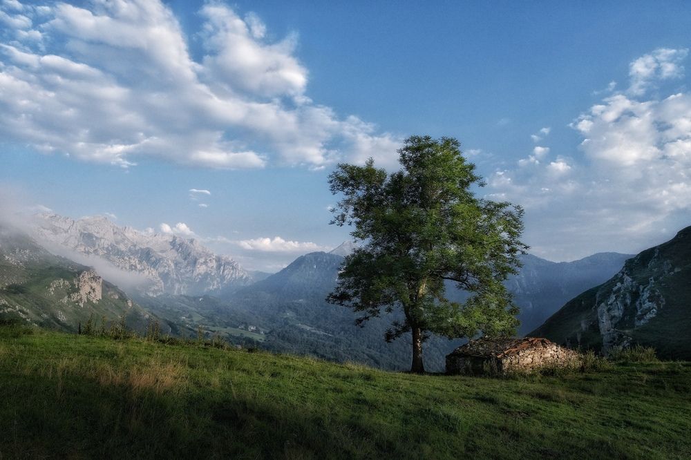 Photograph by Александр Белогаев