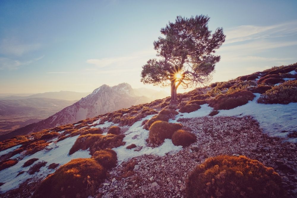 Photograph by Александр Белогаев