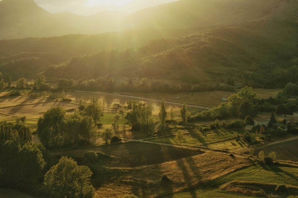 Photograph by Александр Белогаев