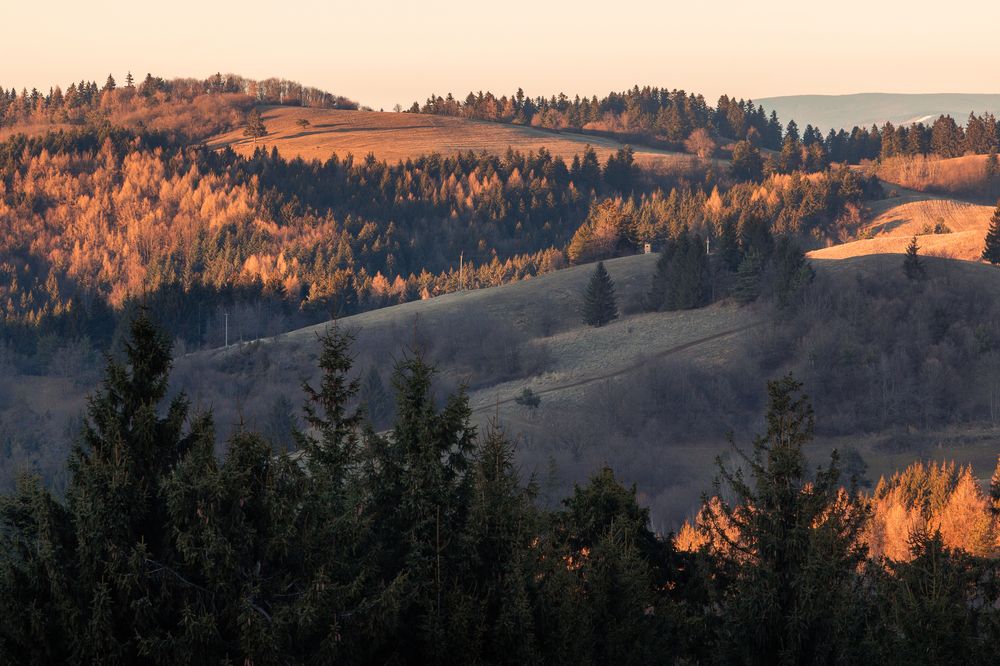 Photograph by Lukas Kulla