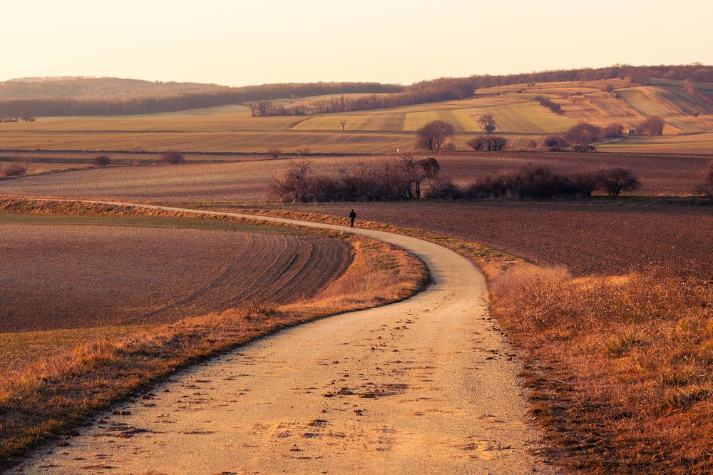 Photograph by Lukas Kulla