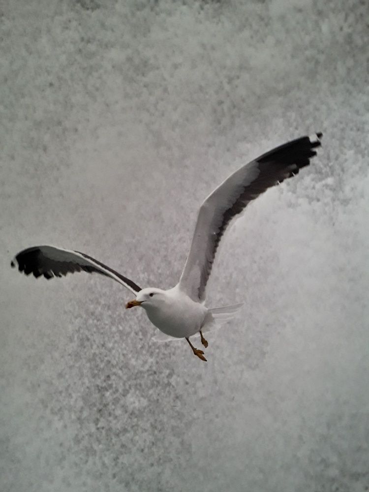 Photograph by Richard Xavier