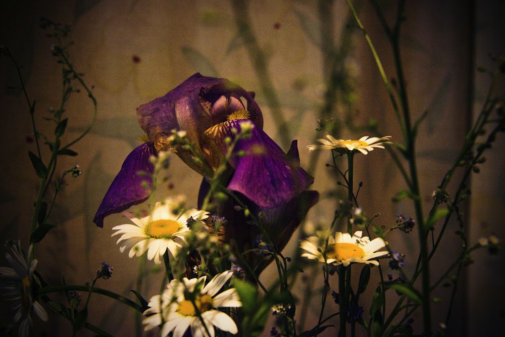 Photograph by Николай Алексеев