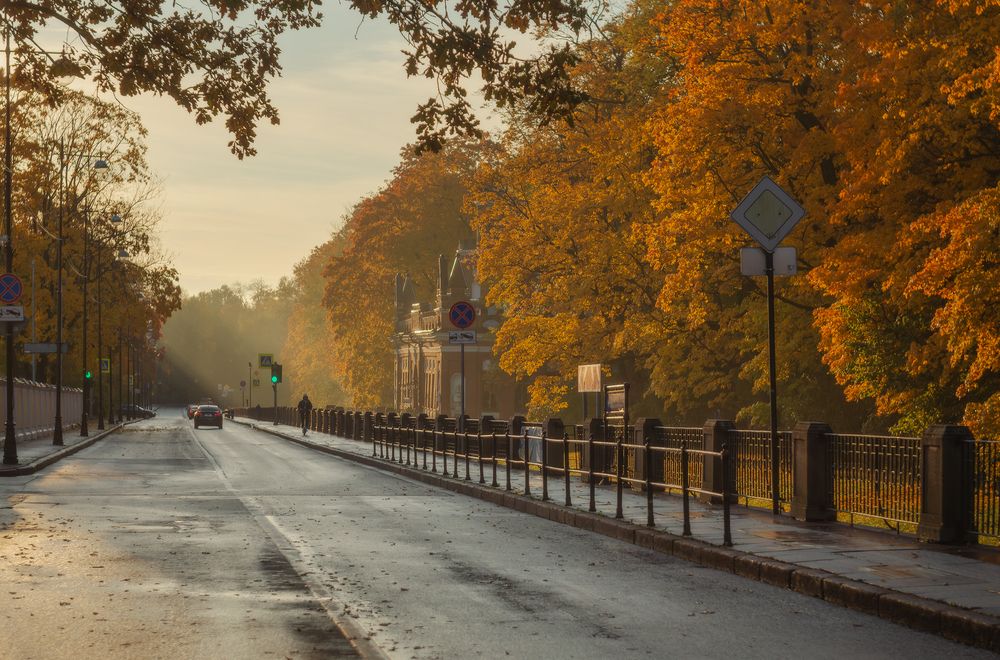 Photograph by Щепотина Татьяна