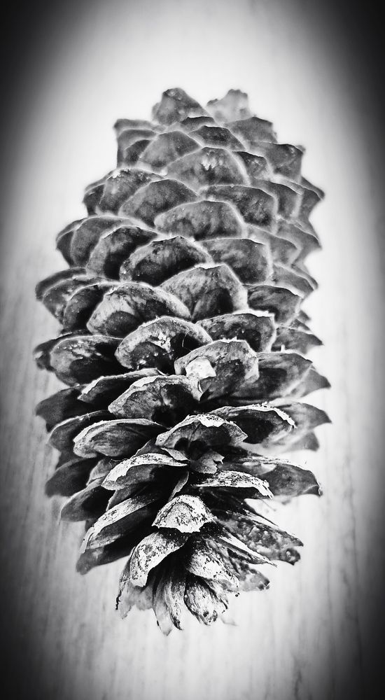 Photograph by Юлия Капица