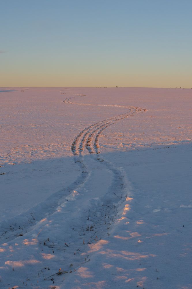 Photograph by Андрей Пучков