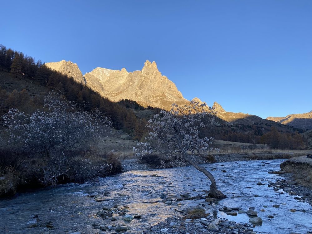 Фотография автора Nicole